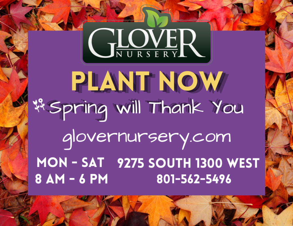 Glover Nursery